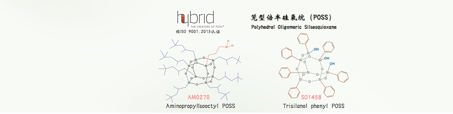 Hybrid Plastics, Inc.